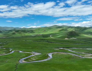 ظԭ׬F(xin)ŷ I(lng)Ї̼к